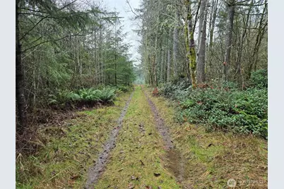 0 End Of Smith Road, Centralia, WA 98531 - Photo 4