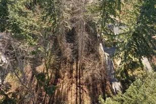 18111 SE 147th St, Renton, WA 98059 - Photo 34