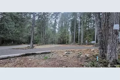 0 N Mt Jupiter Drive, Hoodsport, WA 98548 - Photo 4