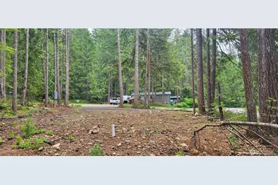 0 N Mt Jupiter Drive, Hoodsport, WA 98548 - Photo 14
