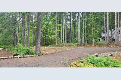 0 N Mt Jupiter Drive, Hoodsport, WA 98548 - Photo 8