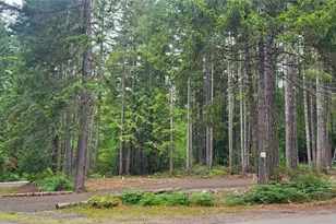 0 N Mt Jupiter Dr, Hoodsport, WA 98548 - Photo 1