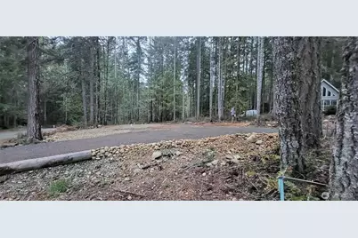 0 N Mt Jupiter Drive, Hoodsport, WA 98548 - Photo 2
