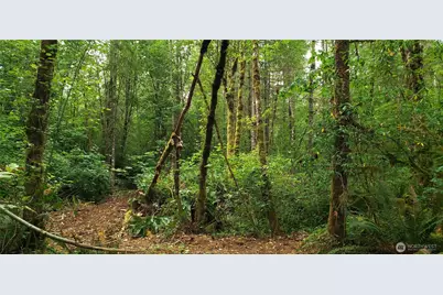 196 Jensen Road, Onalaska, WA 98570 - Photo 34