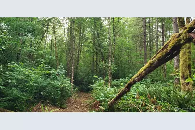 196 Jensen Road, Onalaska, WA 98570 - Photo 38