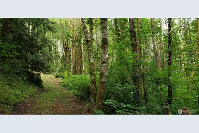 196 Jensen Road, Onalaska, WA 98570 - Photo 28