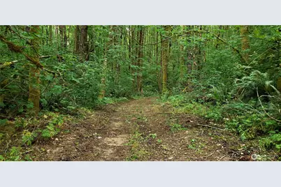 196 Jensen Road, Onalaska, WA 98570 - Photo 24