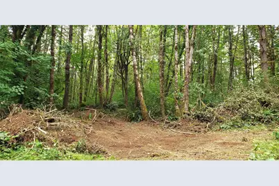 196 Jensen Road, Onalaska, WA 98570 - Photo 30