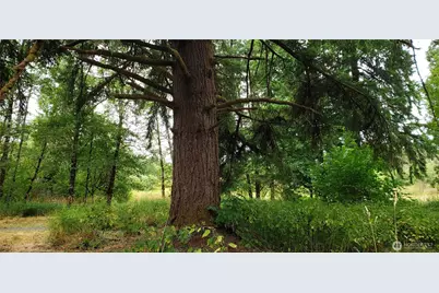 196 Jensen Road, Onalaska, WA 98570 - Photo 24