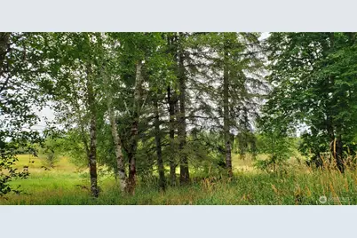 196 Jensen Road, Onalaska, WA 98570 - Photo 16