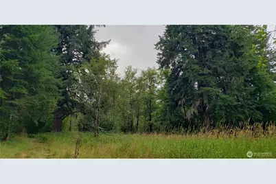 196 Jensen Road, Onalaska, WA 98570 - Photo 26