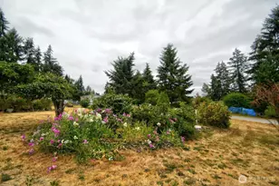 32314 71st Ave S, Roy, WA 98580 - Photo 6