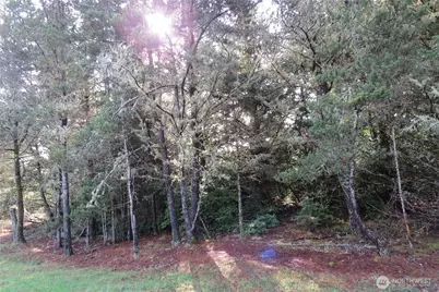 326 Wildwood Avenue SE, Ocean Shores, WA 98569 - Photo 4