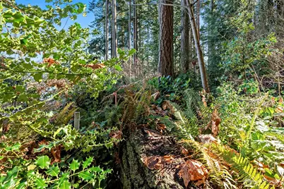 0 Angler's Haven Drive, Oak Harbor, WA 98277 - Photo 20