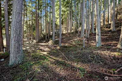 0 Angler's Haven Drive, Oak Harbor, WA 98277 - Photo 10