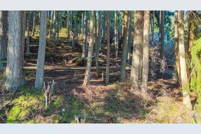 0 Angler's Haven Drive, Oak Harbor, WA 98277 - Photo 12