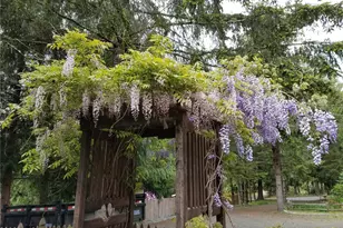 6700 SE Arcadia Rd, Shelton, WA 98584 - Photo 38