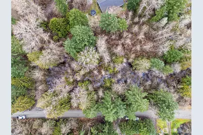 29909 68th Avenue S, Roy, WA 98580 - Photo 4