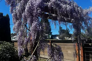 5019 N 27th St, Tacoma, WA 98407 - Photo 22