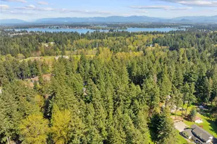 16816 43rd St Ct E, Lake Tapps, WA 98391 - Photo 32