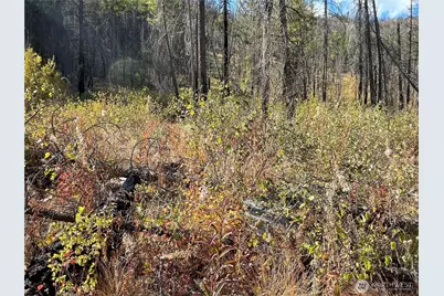 1 Abc S. Lakeshore Rd., Chelan, WA 98816 - Photo 12