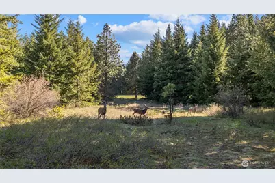 80 Gold Fountain Lane, Cle Elum, WA 98922 - Photo 6