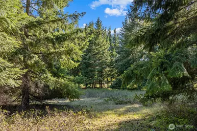 90 Gold Fountain Lane, Cle Elum, WA 98922 - Photo 6