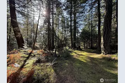 4534 Point Lawrence Road, Orcas Island, WA 98279 - Photo 34
