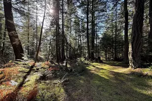 4534 Point Lawrence Rd, Orcas Island, WA 98279 - Photo 34