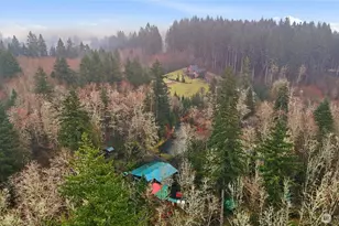 40408 NE Cedar Ridge Rd, Amboy, WA 98601 - Photo 40