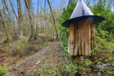 40408 NE Cedar Ridge Road, Amboy, WA 98601 - Photo 10