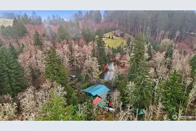 40408 NE Cedar Ridge Road, Amboy, WA 98601 - Photo 36