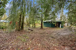 40408 NE Cedar Ridge Rd, Amboy, WA 98601 - Photo 8