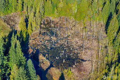 123 Xx 123rd Avenue NE, Lake Stevens, WA 98258 - Photo 18