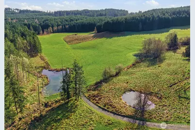 211 Echo Road, Rochester, WA 98579 - Photo 10