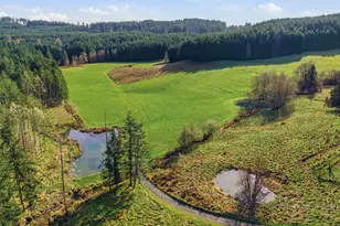 211 Echo Rd, Rochester, WA 98579 - Photo 10