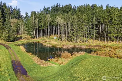 211 Echo Road, Rochester, WA 98579 - Photo 12