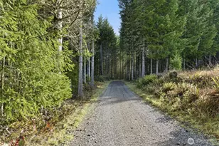 211 Echo Rd, Rochester, WA 98579 - Photo 38