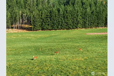 211 Echo Road, Rochester, WA 98579 - Photo 8