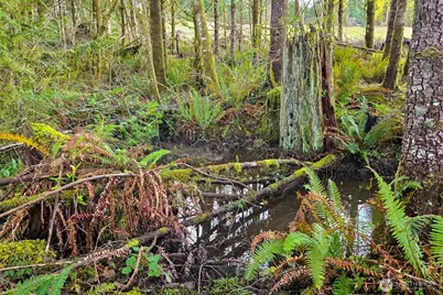 0 Silverwood Drive #D2, Castle Rock, WA 98611 - Photo 18