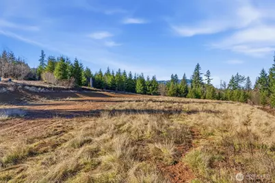 22310 NE Dole Valley Road, Yacolt, WA 98675 - Photo 4