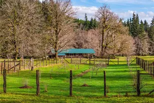 2298 Undie Rd, Forks, WA 98331 - Photo 8