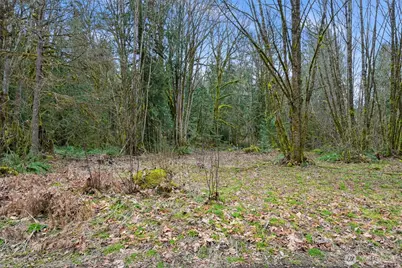 7738 Maple Drive, Maple Falls, WA 98266 - Photo 1