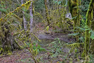 7738 Maple Drive, Maple Falls, WA 98266 - Photo 6