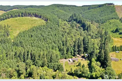 1668 King Road, Winlock, WA 98596 - Photo 4