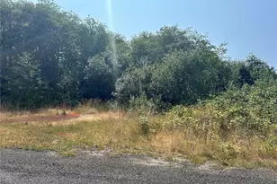 0 Xxx Hwy 101, Raymond, WA 98567 - Photo 1