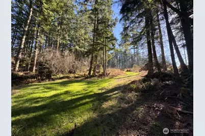 1407 Obstruction Pass Road, Orcas Island, WA 98245 - Photo 14