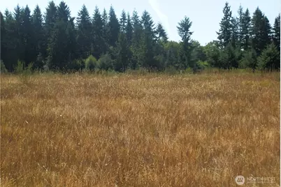 0 Xx Maxine Drive, Winlock, WA 98596 - Photo 8