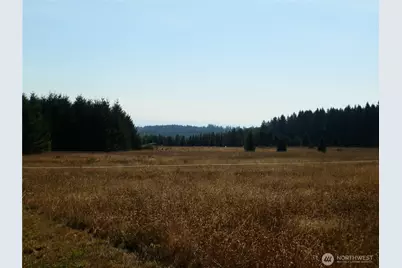 0 Xx Maxine Drive, Winlock, WA 98596 - Photo 6