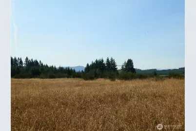 0 Xx Maxine Drive, Winlock, WA 98596 - Photo 12